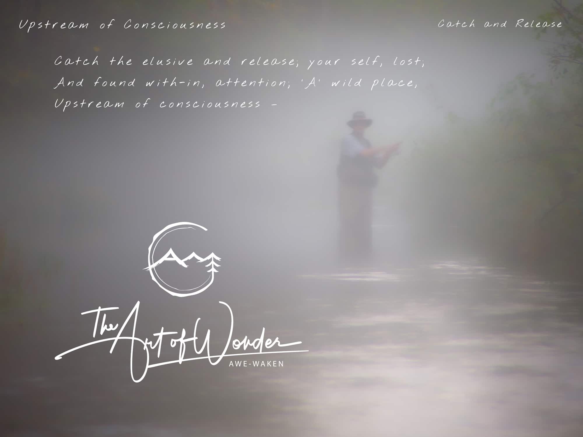 Catch and Release