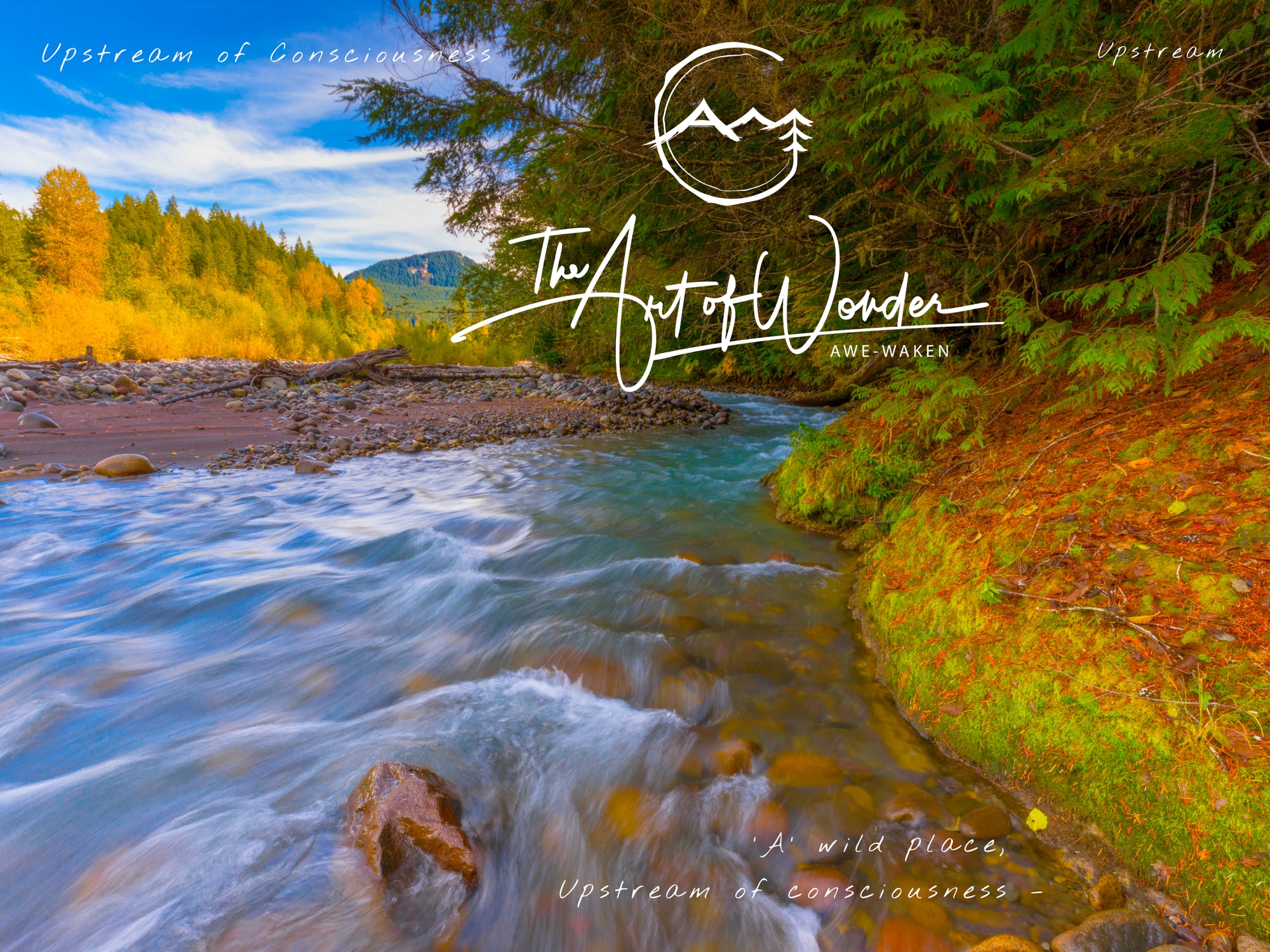 Upstream