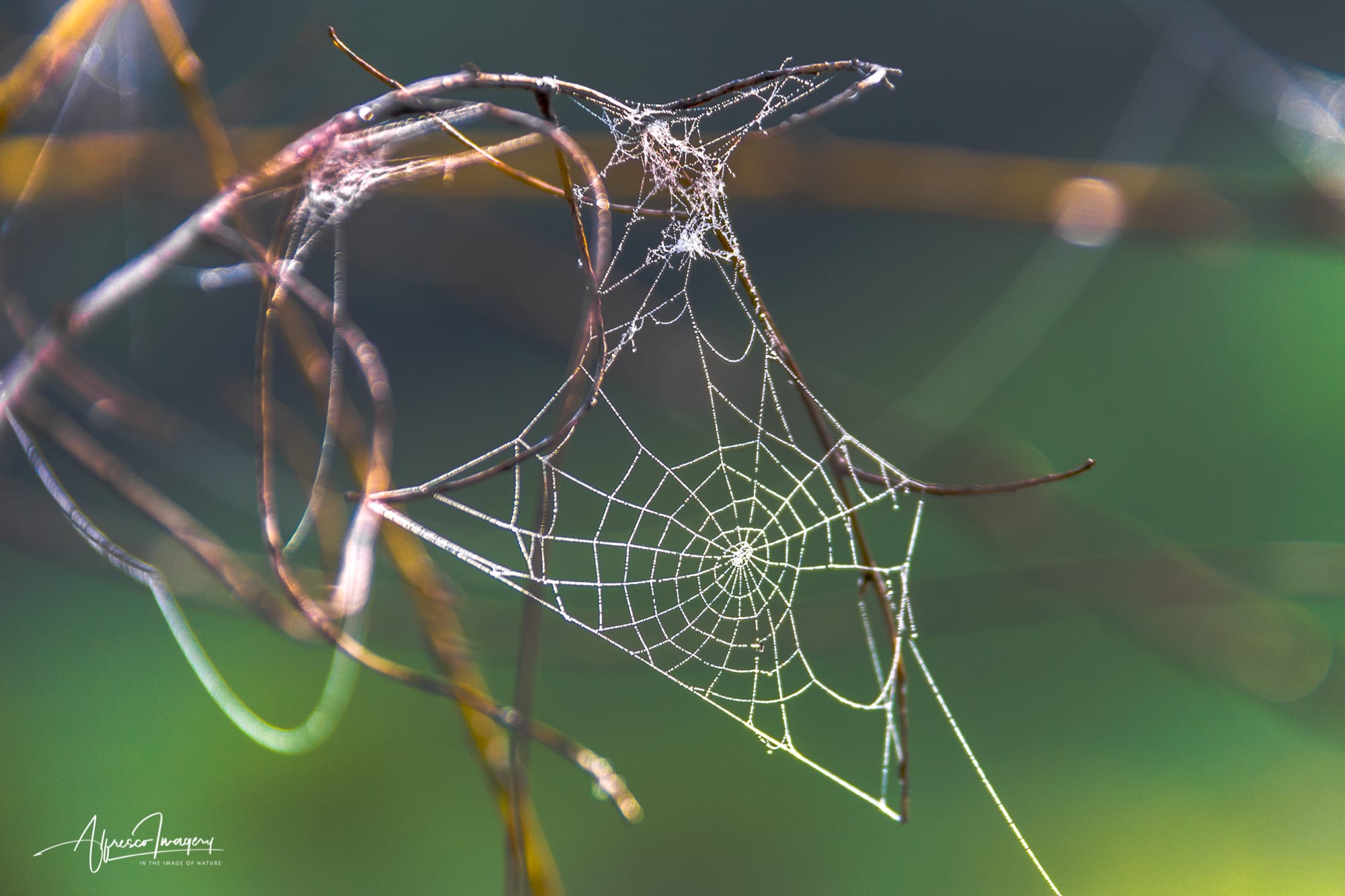 I'mperceptible Threads